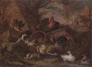 unknow artist Still life of fowl in a farmyard,with a cat stealing a bantam chick china oil painting artist